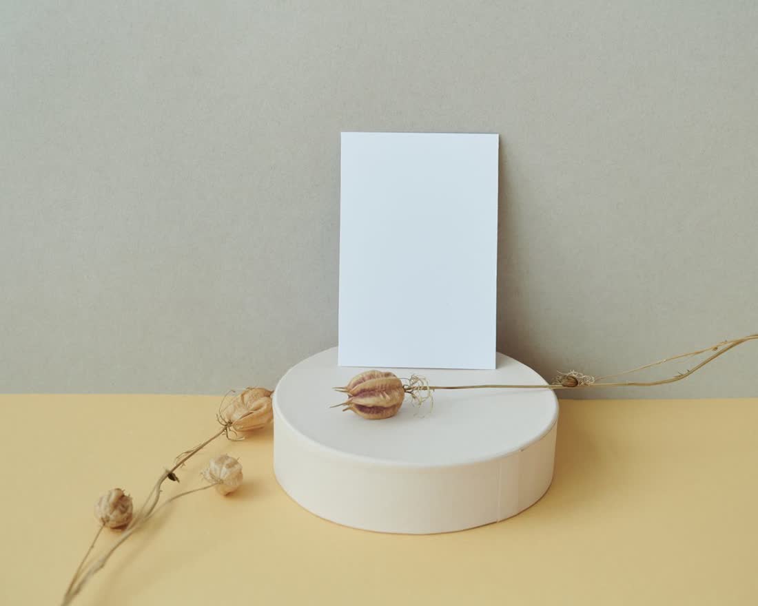 A pale plinth and dried stems against a warm wall